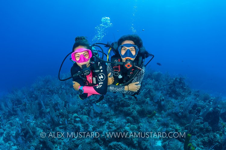 Dive Buddies, Cayman Islands