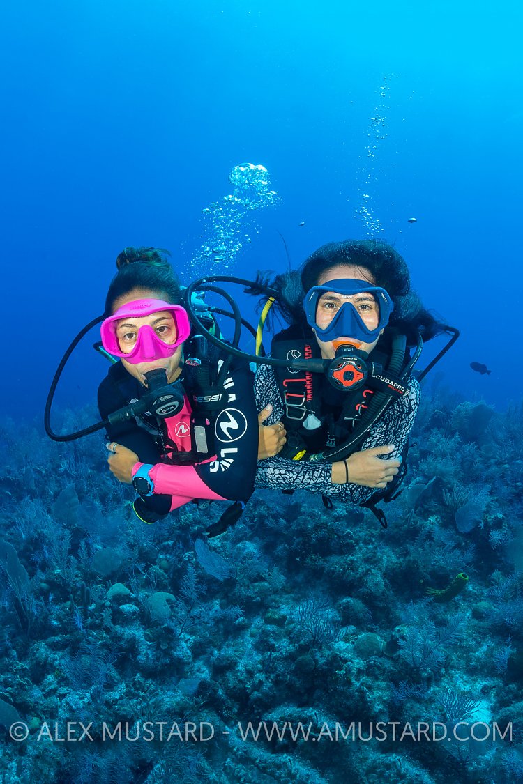 Dive Buddies, Cayman Islands