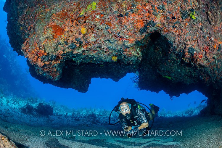 Diver In Coral Cavern, Cayman Islands