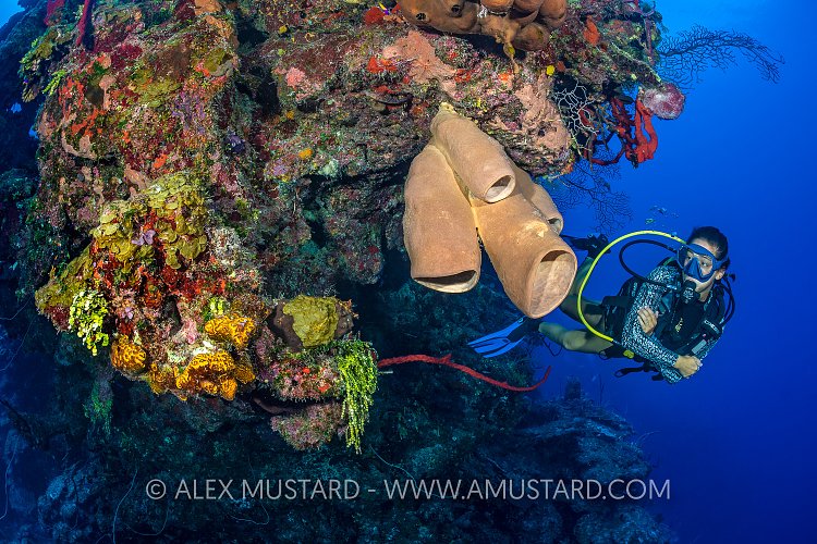 Diver On Wall, Cayman Islands