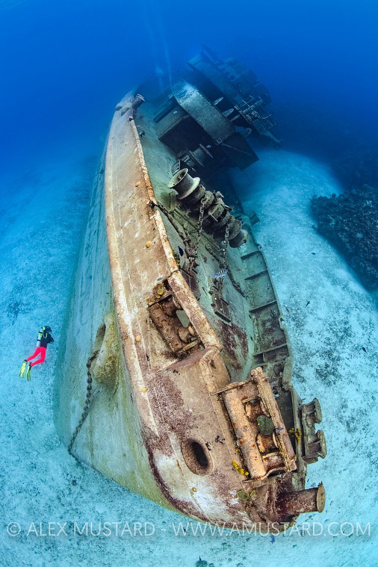 Kittiwake Bow, Cayman Islands
