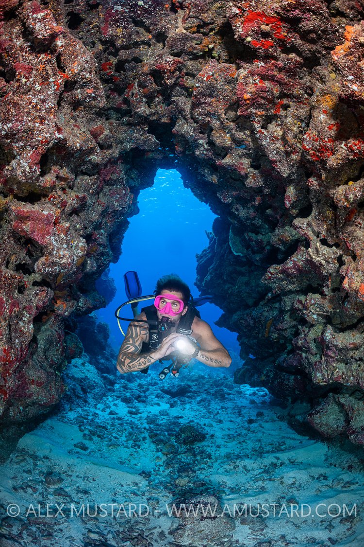 Diver In Cavern, Cayman Islands
