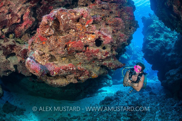 Exploring Coral Canyons, Cayman Islands