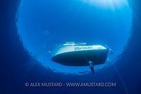 Diver Beneath Boat, Cayman Islands