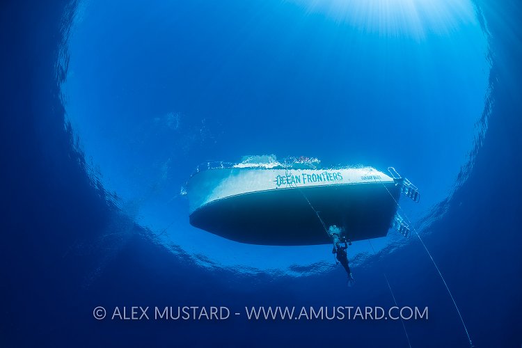 Diver Beneath Boat, Cayman Islands