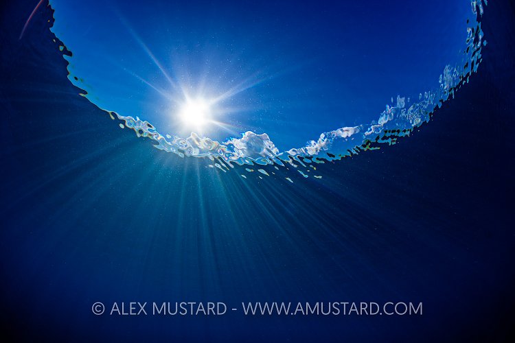 Sun And Surface, Cayman Islands