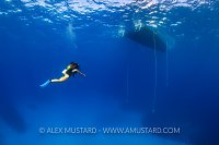 Returning To The Boat, Cayman Islands