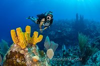 Diver WIth Sponge, Cayman Islands