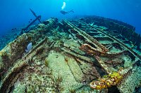 Glamis Wreck With Diver, Cayman Islands