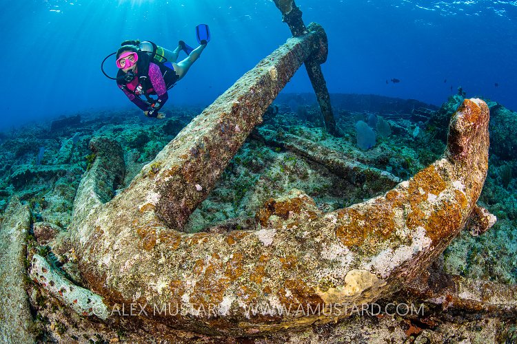 Glamis Wreck With Diver, Cayman Islands