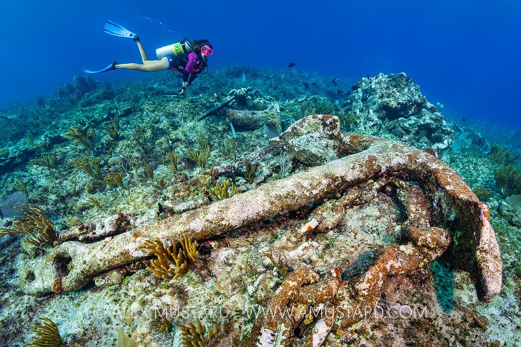 Glamis Wreck With Diver, Cayman Islands