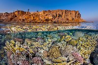 Red Sea Reef Split Level, Egypt