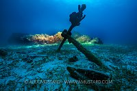Anchor At Rest. Cayman Islands