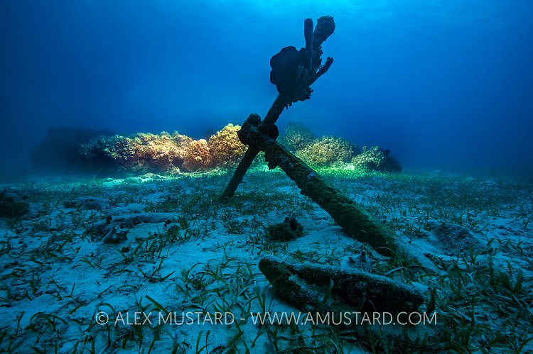 Anchor At Rest. Cayman Islands