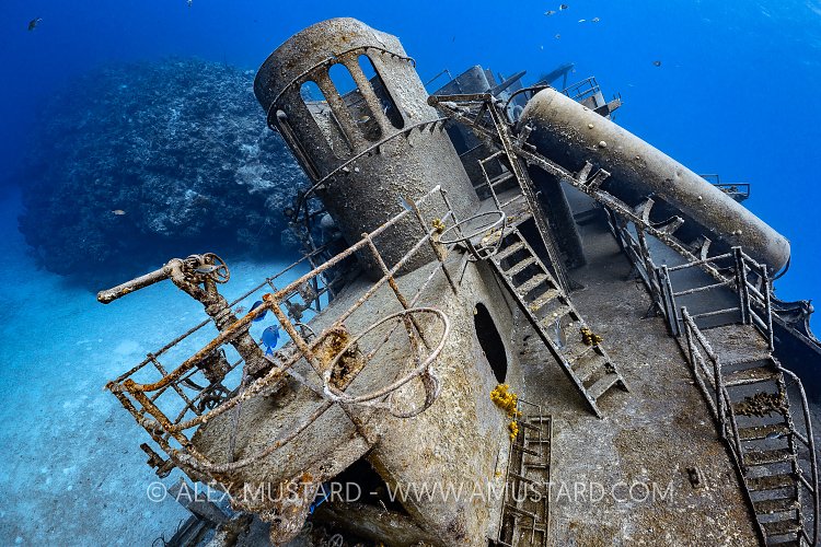 Kittiwake Wreck With Reef, Cayman Islands