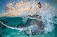 Splash, Cayman Islands