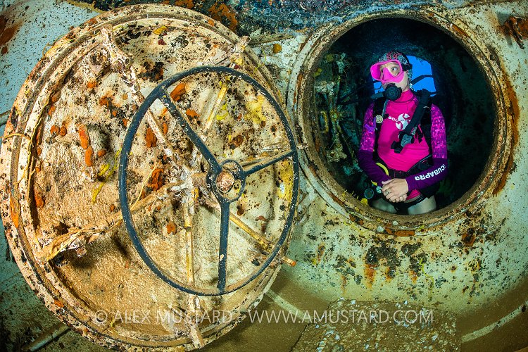 Diver In Wreck, Cayman Islands