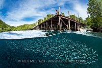 Sittin' On The Dock Of A Bay, Indonesia