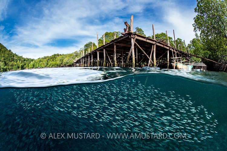 Sittin' On The Dock Of A Bay, Indonesia