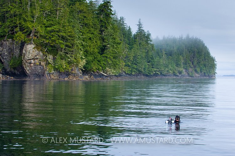 Diver At Surface, Canada