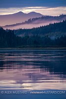 Forested Scenery, Canada