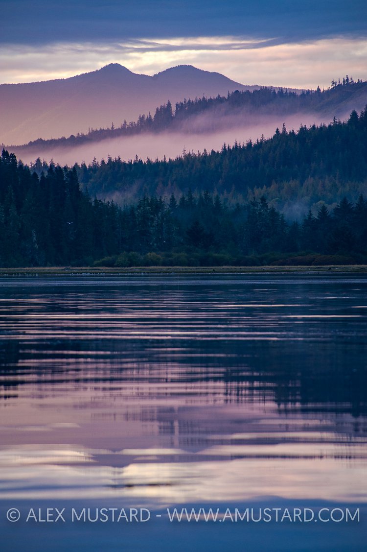 Forested Scenery, Canada