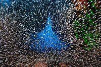 More Fish Than Water, Indonesia