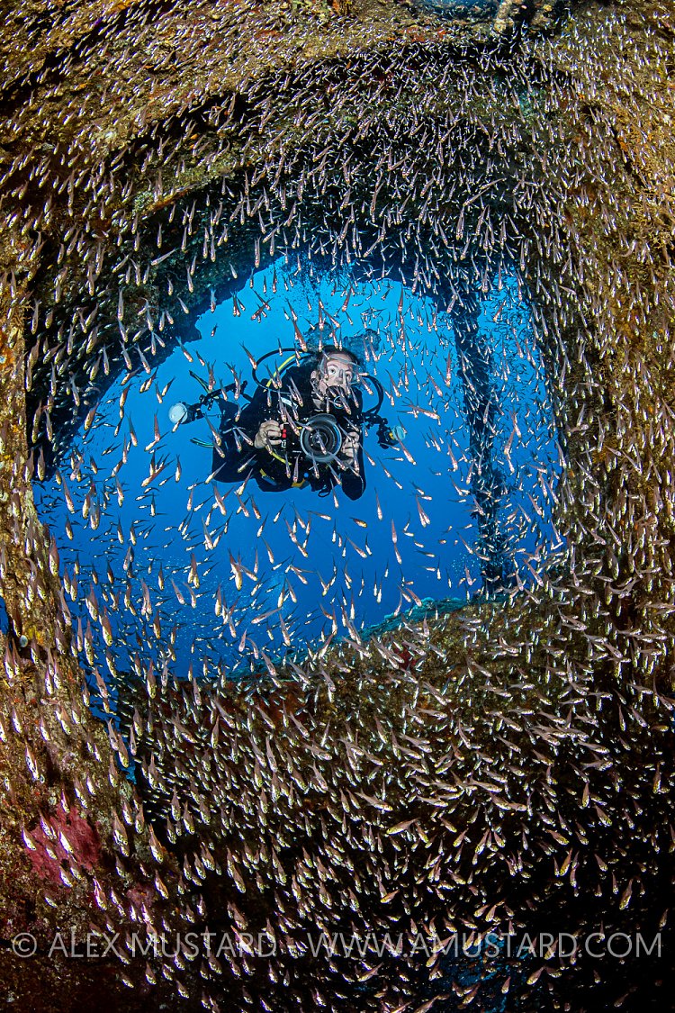 Exploring the Kimon M Wreck, Egypt