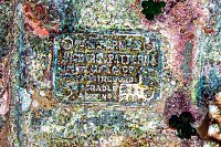 Thistlegorm Gun Plaque. Egypt