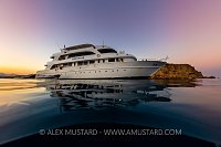 Diving Liveaboard, Egypt