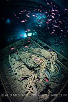 Thistlegorm Motorbikes, Egypt