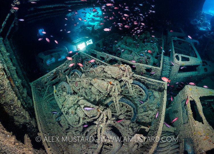 Thistlegorm Motorbikes, Egypt