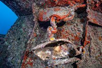 Thistlegorm Bathroom Fittings. Egypt