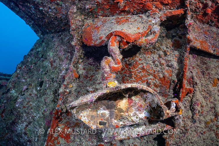 Thistlegorm Bathroom Fittings. Egypt