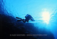 Peter Scoones At Work, Egypt