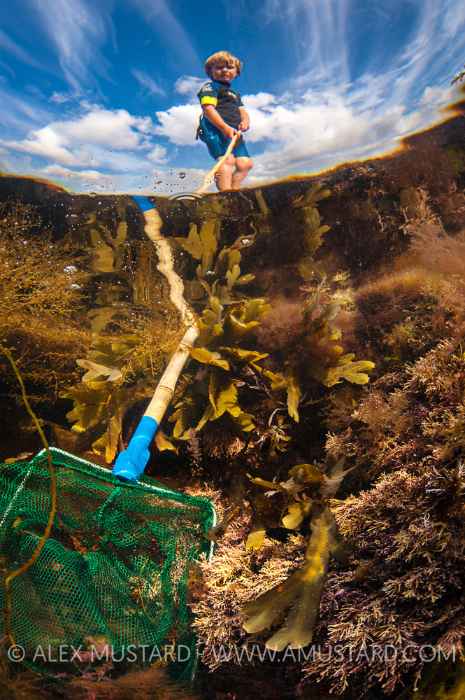 Rockpooling, UK