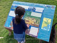 Conservation Sign, UK