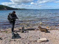 Preparing To Dive, UK