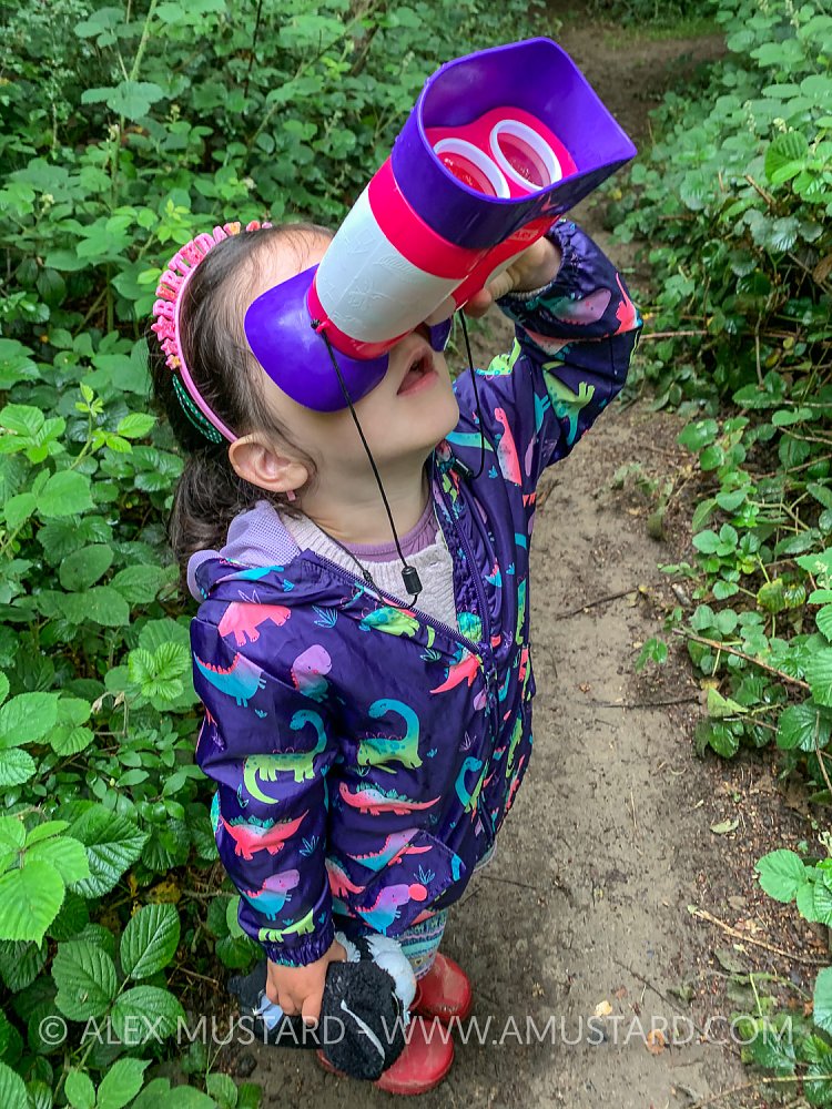 Young Birdwatcher, UK