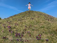 Girl Enjoys Pasque Flowers, UK