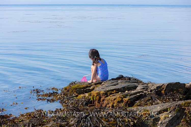 Searching The Sea Shore, UK