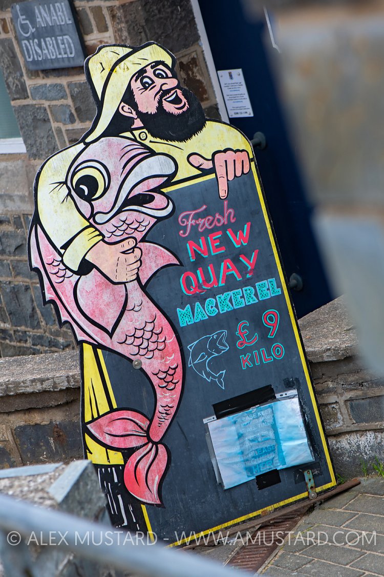 Fresh Fish Sign, UK