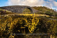 Bridge Over The Atlantic, UK