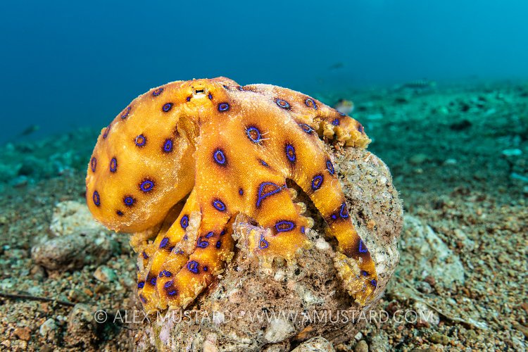BRO watching the world go by, Philippines