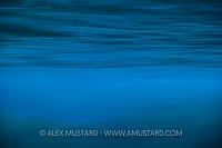 Water Surface Abstract, USA