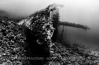 Bow Of The Giannis D, Egypt