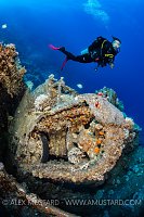 Diver And Armoured Vehicle Wreck, Egypt