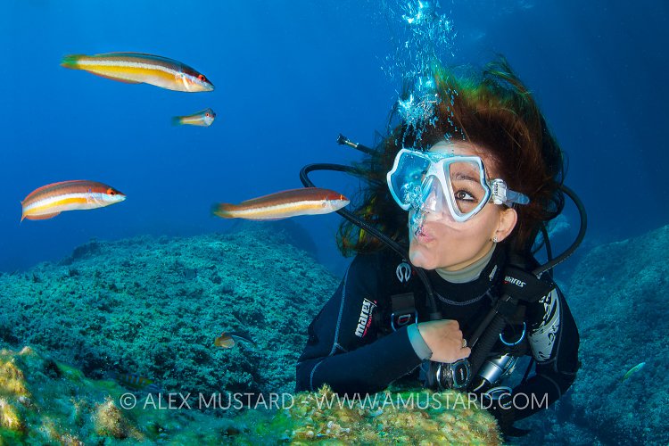 Attracting Fish, Italy