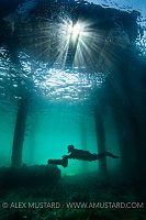 Diver Beneath Pier, UK