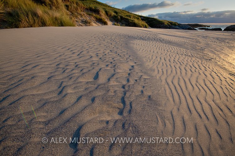 Sand Ribbles On Beach, UK